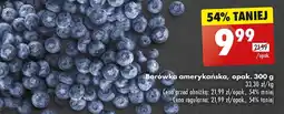 Biedronka Borówka amerykańska oferta