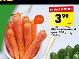 Biedronka Marchewki mini oferta