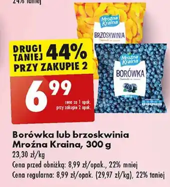 Biedronka Borówki Mroźna Kraina oferta