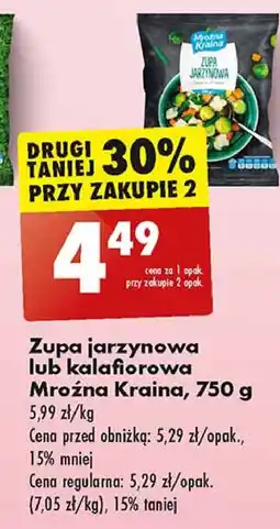 Biedronka Zupa kalafiorowa Mroźna Kraina oferta