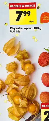 Biedronka Physalis oferta