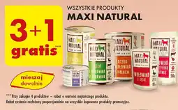 Biedronka Karma dla kota indyk z przepiórką Maxi Natural oferta