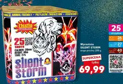 Kaufland Wyrzutnia silent storm Hestia oferta