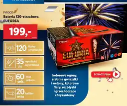 Lidl Bateria 120 strzałów euforia Pyroco oferta