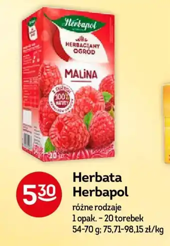 Żabka Herbata Herbapol 20 torebek oferta