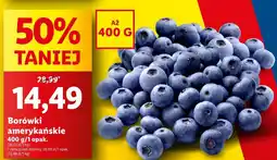 Lidl Borówka amerykańska oferta
