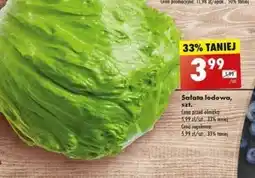 Biedronka Sałata lodowa oferta