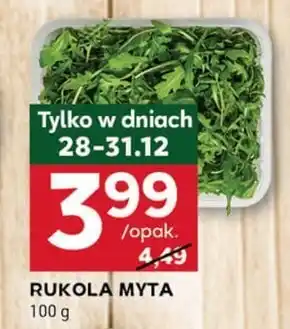 Stokrotka Optima Rukola oferta