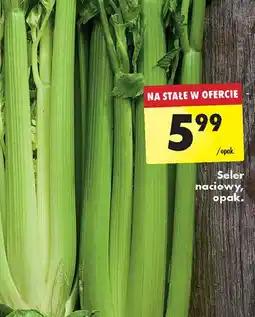 Biedronka Seler naciowy oferta