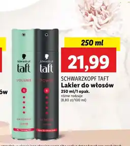 Lidl Lakier do włosów Taft oferta