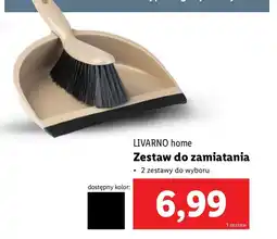 Lidl Zmiotka z szufelką Livarno Home oferta