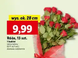 Lidl Róże oferta