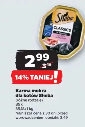 Netto Karma dla kota z łososiem Sheba Classics oferta