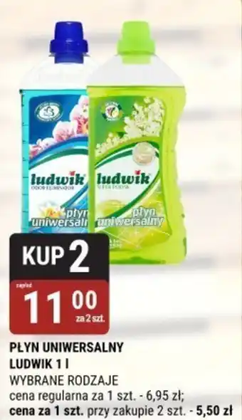 bi1 PŁYN UNIWERSALNY LUDWIK oferta