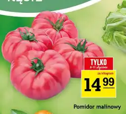 Gram Market Pomidor malinowy oferta