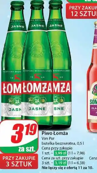 Dino Piwo Łomża Jasne (Dawniej Export) oferta