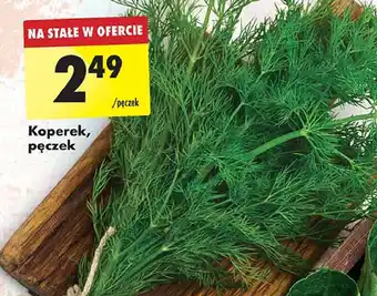 Biedronka Koperek oferta