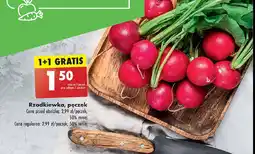 Biedronka Rzodkiewka oferta