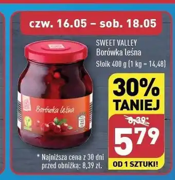 ALDI Borówka leśna 1 SZT 400 G oferta