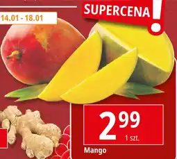 E.Leclerc Mango oferta