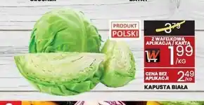 Wafelek Kapusta biała Polski oferta