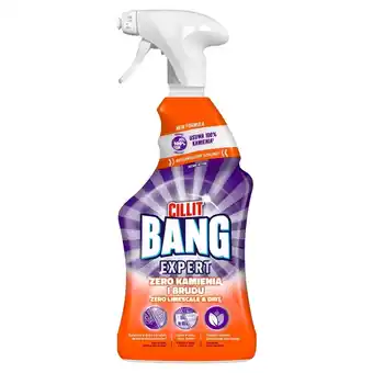 Delikatesy Centrum Cillit Bang Expert Spray zero kamienia i brudu 750 ml oferta