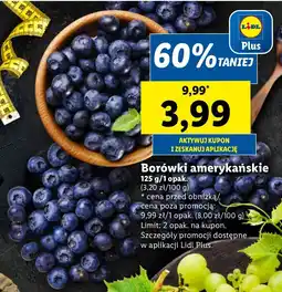 Lidl Borówka amerykańska oferta