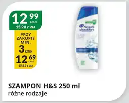 Eurocash Cash & Carry Szampon h&s oferta