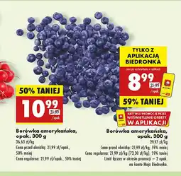 Biedronka Borówki amerykańskie oferta