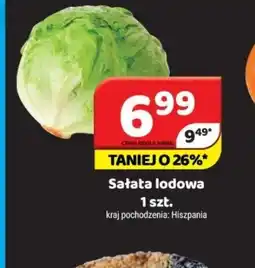 Delfin Sałata lodowa oferta