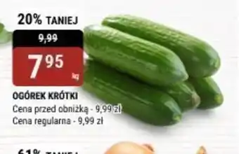 bi1 Ogórek krótki oferta