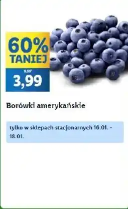 Lidl Borówki amerykańskie oferta