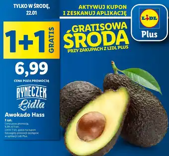 Lidl Awokado hass oferta