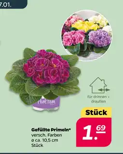 Netto Gefüllte Primeln oferta