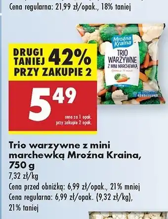 Biedronka Trio warzywne Mroźna kraina oferta