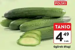 Intermarche Ogórek długi oferta