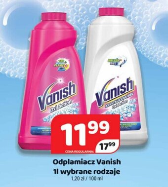 Delfin Odplamiacz Vanish 1l oferta