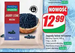 Jagody Mroźny ogród