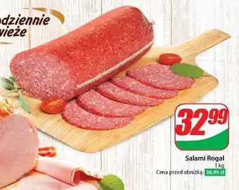 Dino Salami rogal Agro rydzyna oferta