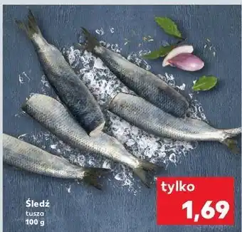 Kaufland Śledz tusza oferta