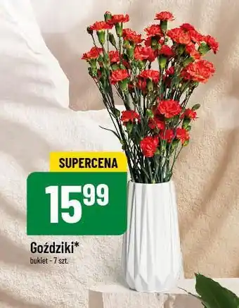 Polomarket Goździki oferta