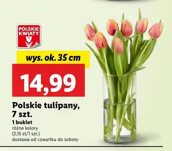 Lidl Bukiet tulipanów Polskie kwiaty oferta