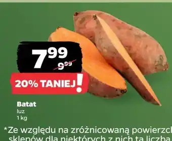 Netto Bataty oferta