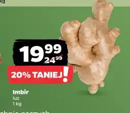 Netto Imbir oferta