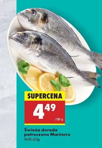 Biedronka Dorada patroszona świeża Marinero oferta