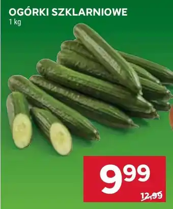 Stokrotka Market Ogórki oferta