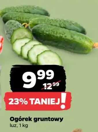 Netto Ogórek gruntowy oferta