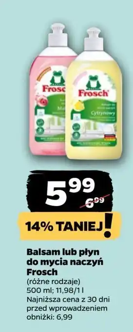 Netto Koncentrat do mycia naczyń malinowy Frosch oferta