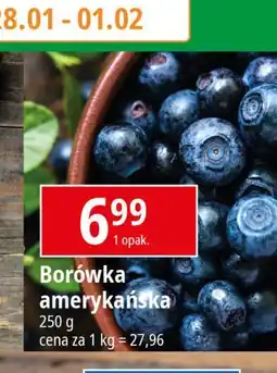 E.Leclerc Borówki amerykańskie oferta