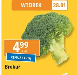 E.Leclerc Brokuł oferta